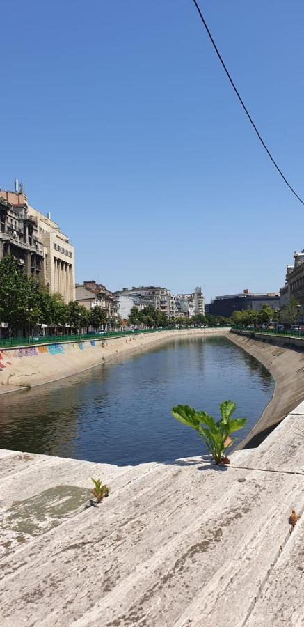 Mary Central Appartaments Bucureşti Eksteriør bilde